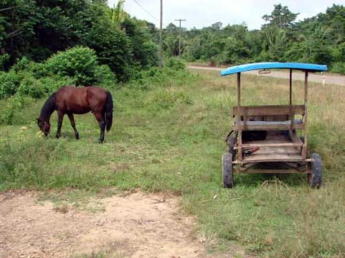 Belize 8