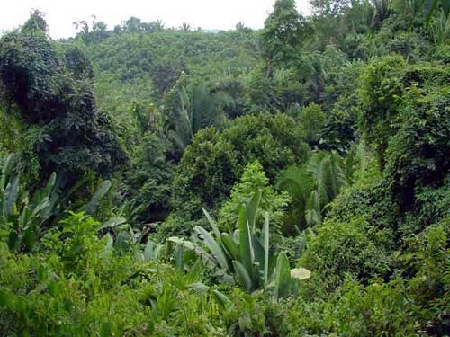 Belize 2